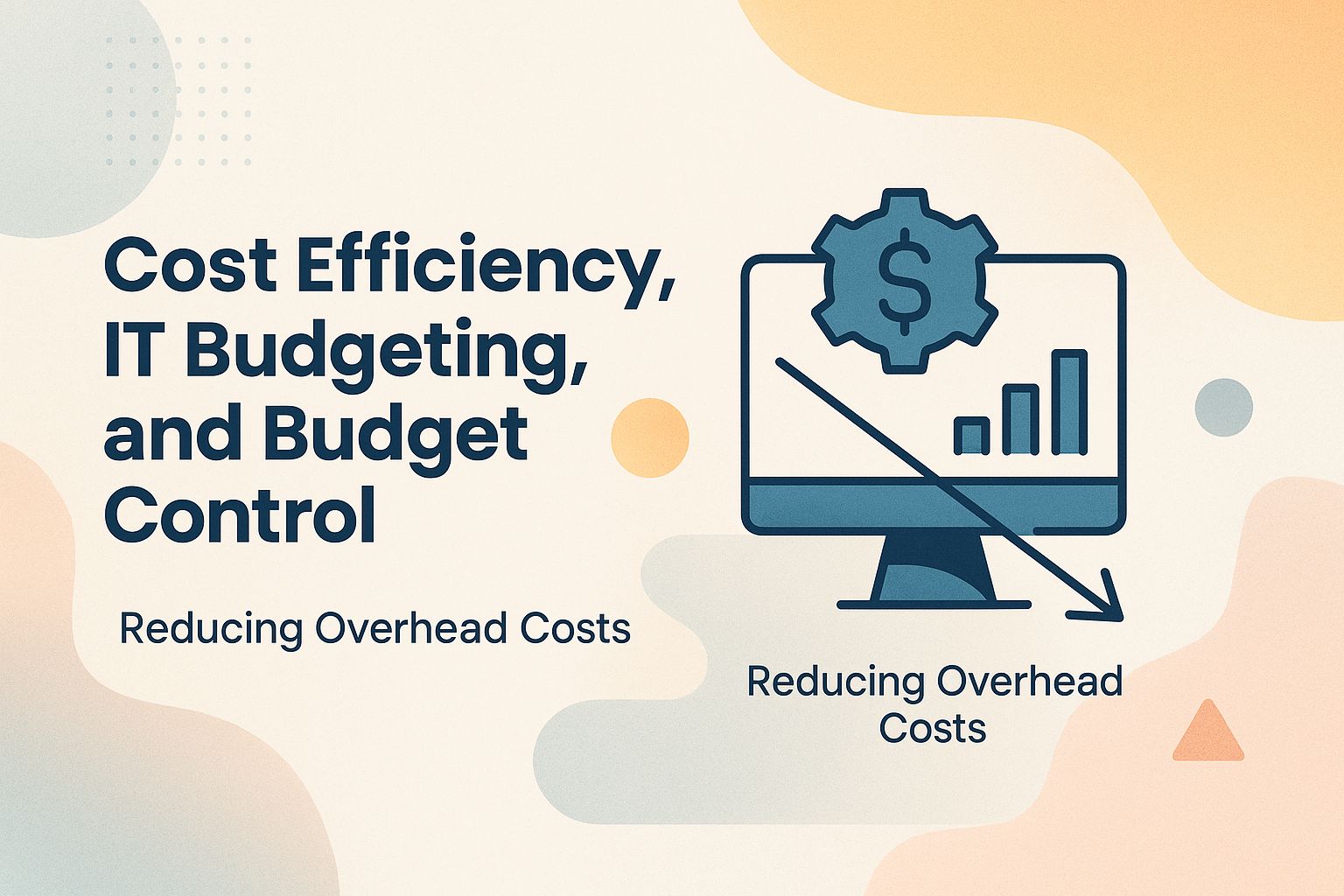 Cost Efficiency, IT Budgeting, and Budget Control
